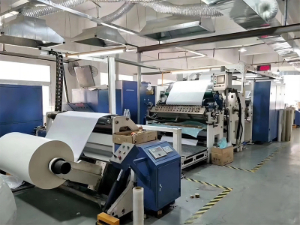 Paper And Printing Industry